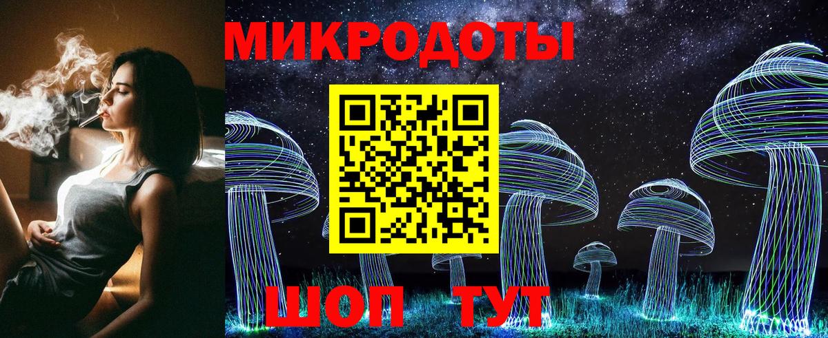 Грозный  Псилоцибиновые грибы прущие грибы  Вход с VPN  Псилоцибиновые грибы мицелий 