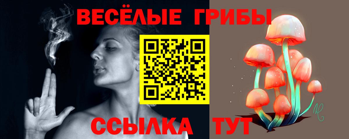 Галлюциногенные грибы ЛСД Грозный